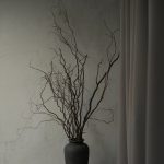 IMG_6207